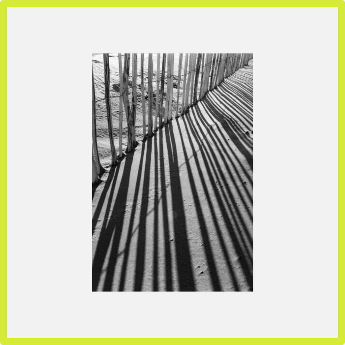 Фотоплёнка Kodak Professional Tri-X 400TX B&W 135/35 мм, 36 кадров 86670731 фото