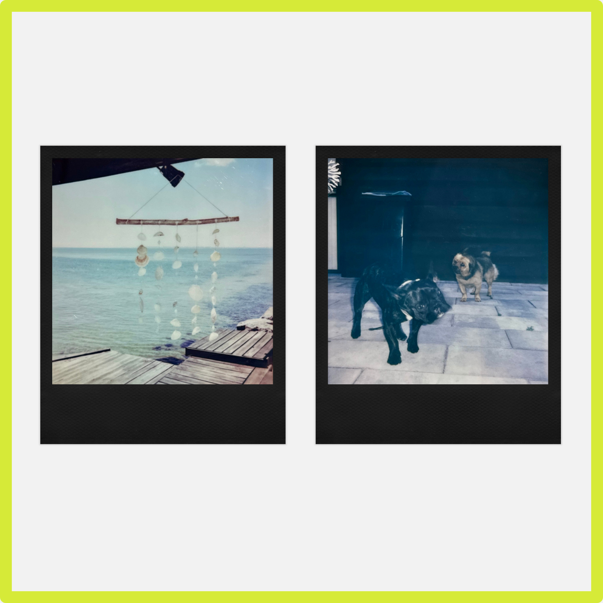 Касета Polaroid Color i-Type Black Frame Film (6019) 6019 фото