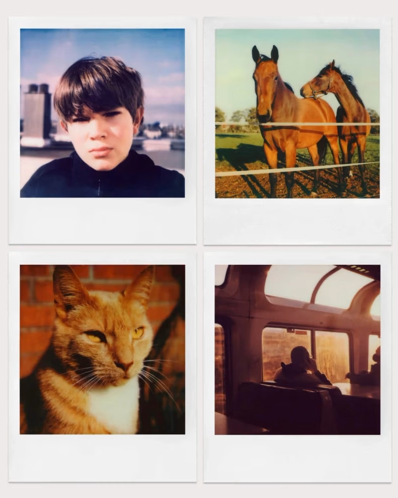 Примеры цветных фото Polaroid Color SX-70 Film с белой рамкой