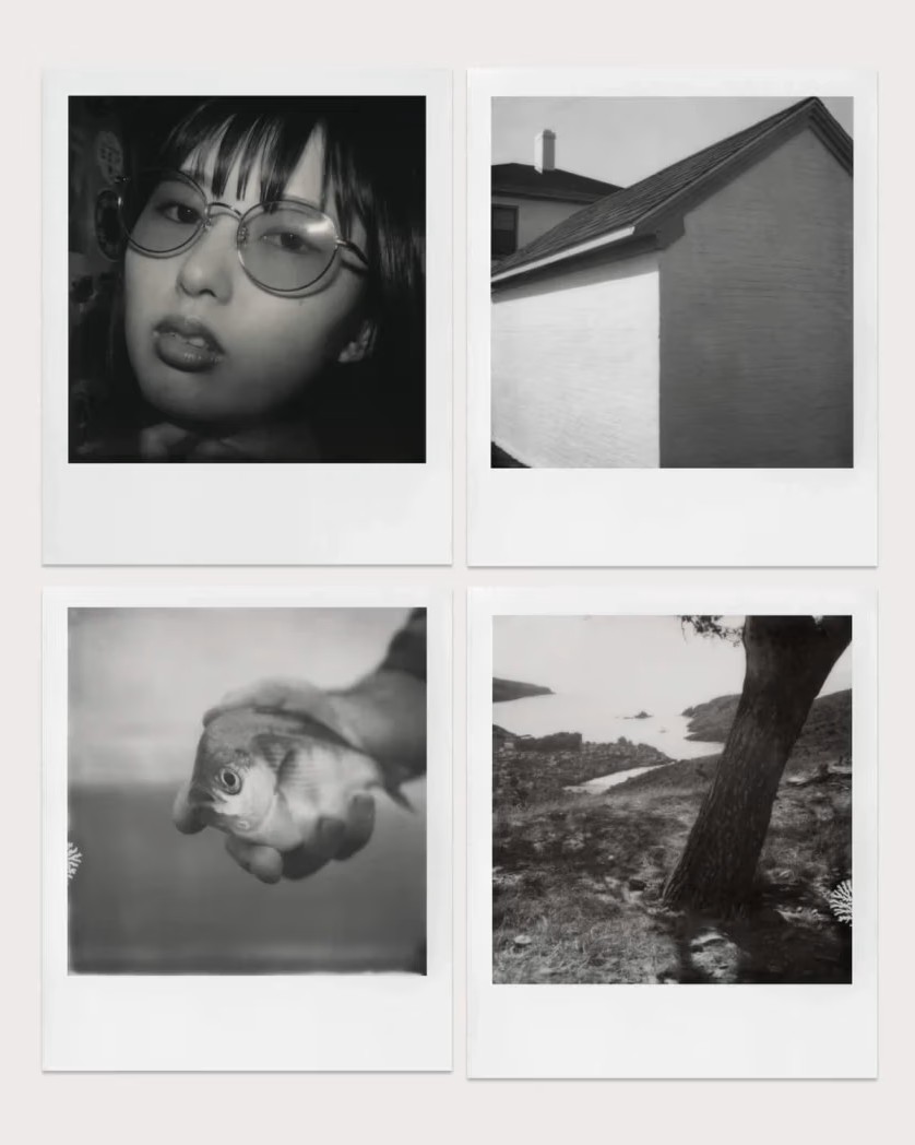 Приклади чорно-білих фото Polaroid B&W SX-70 Film з білою рамкою