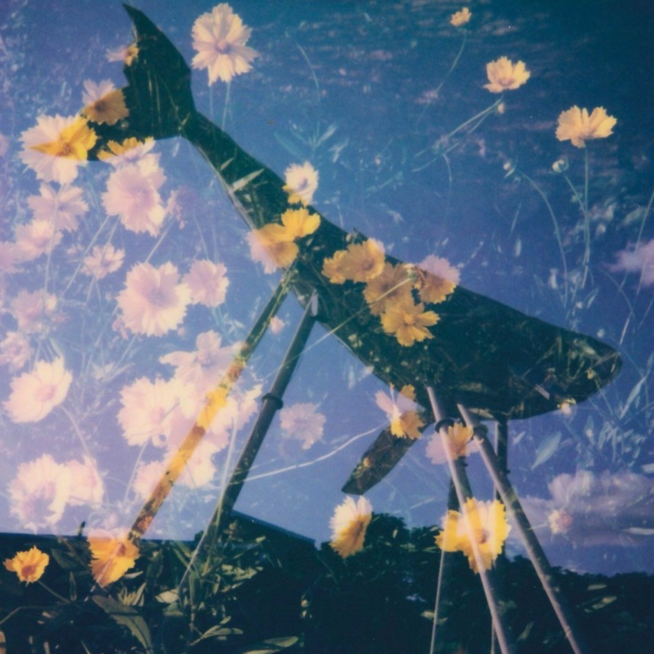 Улюблений Polaroid-кадр Володимира